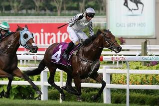 Karaka Graduate Alibi claims the Listed Stewards’ Cup at Kranji. Photo: Singapore Turf Club.